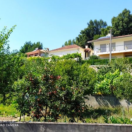 Bellavista Alojamento Arouca Kültér fotó