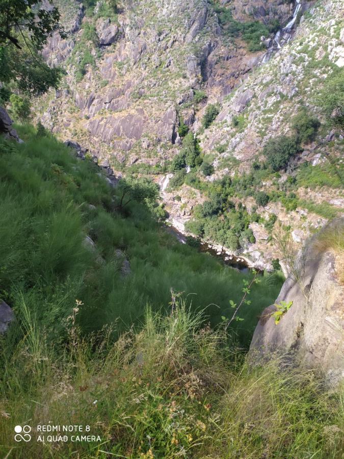 Bellavista Alojamento Arouca Kültér fotó
