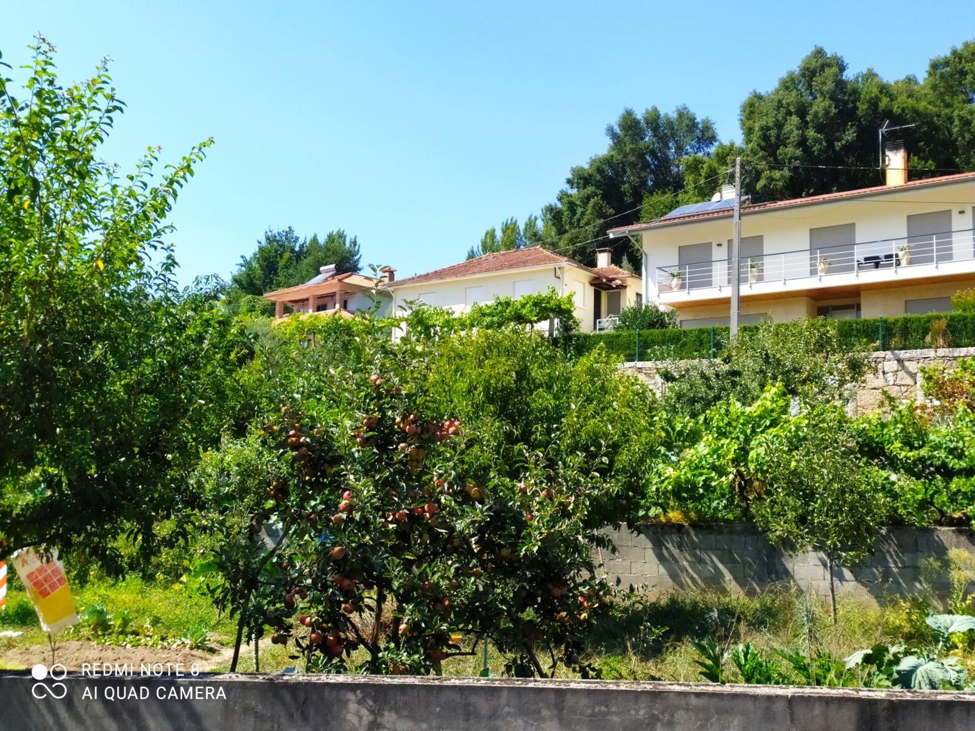 Bellavista Alojamento Arouca Kültér fotó